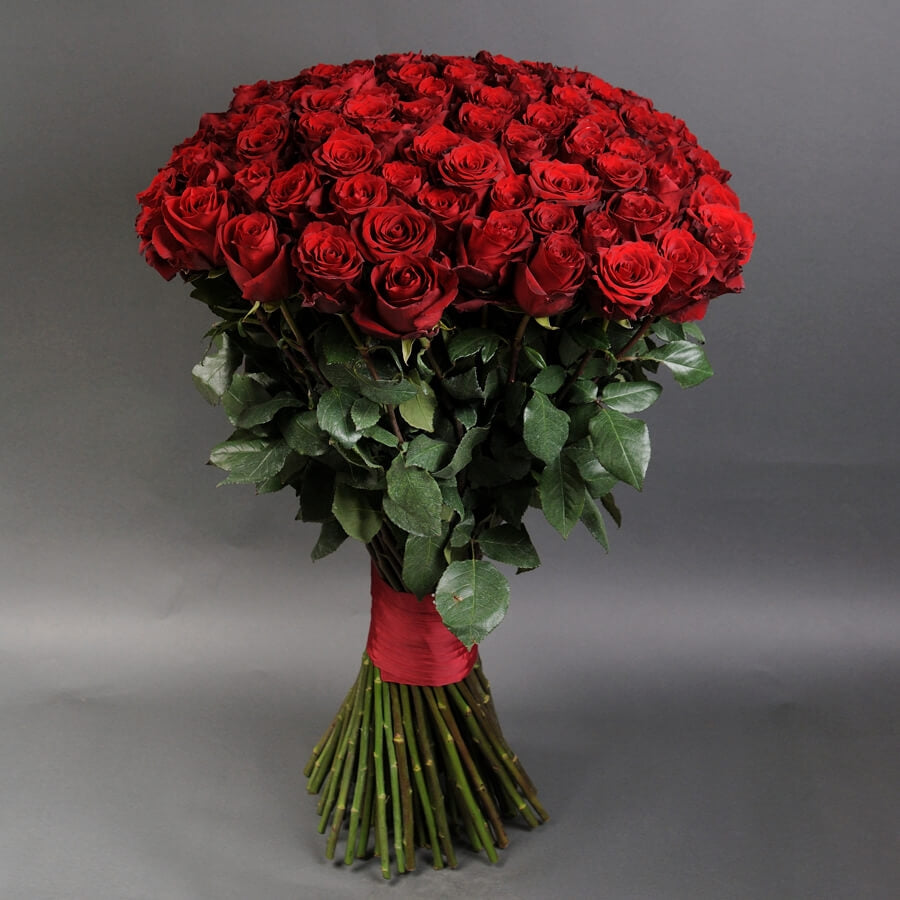 100 red roses