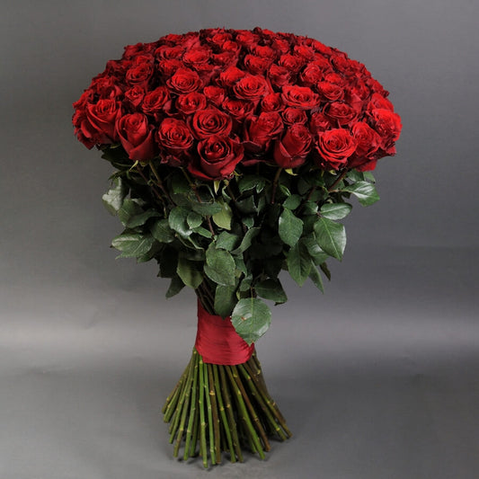 100 red roses