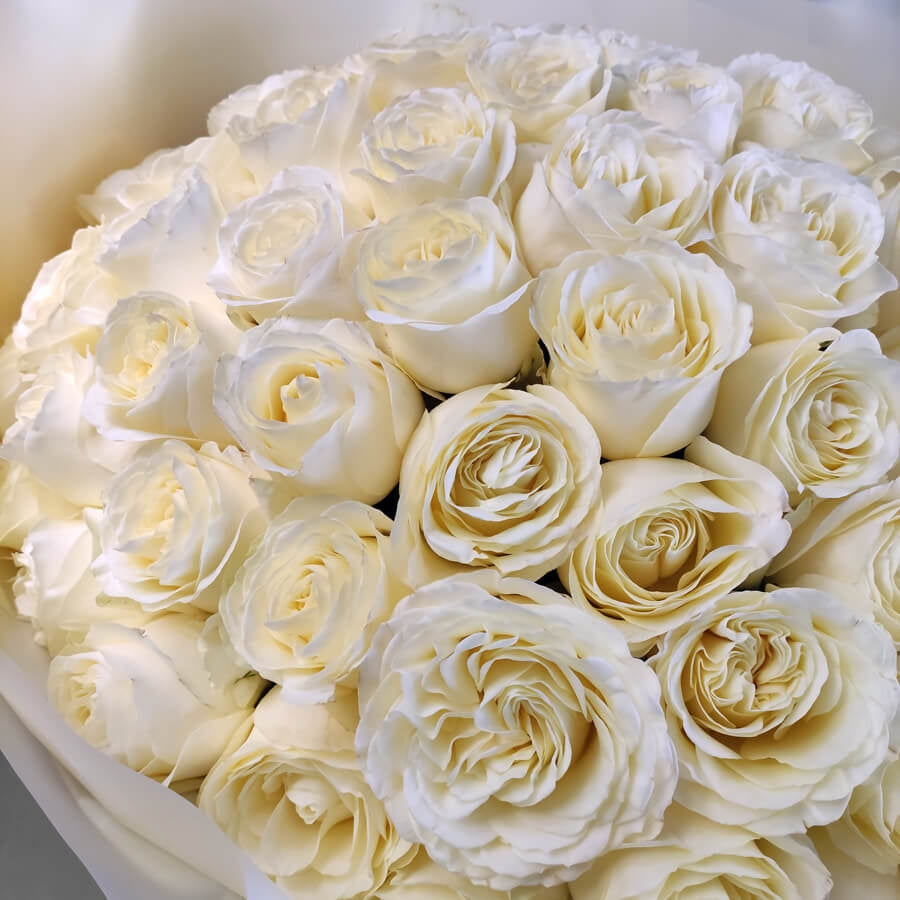 White Garden Roses Bouquet Miami