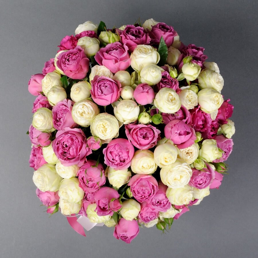 White and Pink Peony Spray Roses Box