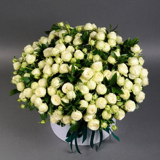 White Peony Spray Roses Box