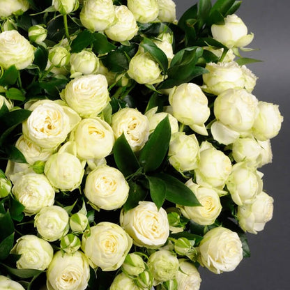 White Peony Spray Roses Box