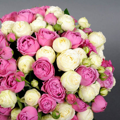 White and Pink Peony Spray Roses Box