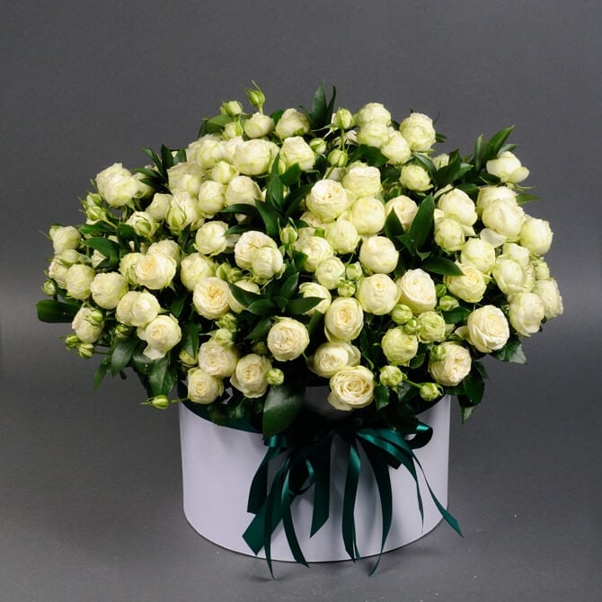 White Peony Spray Roses Box